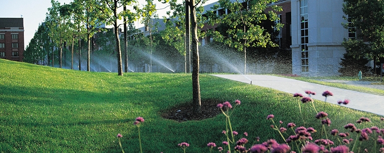 Irrigação de Jardins