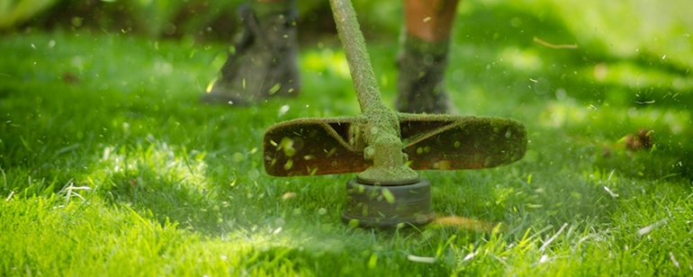 Manutenção de Jardins