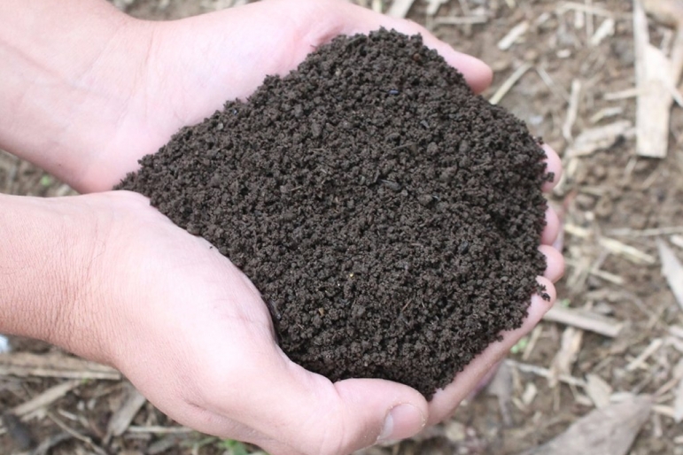 Substrato para Plantio